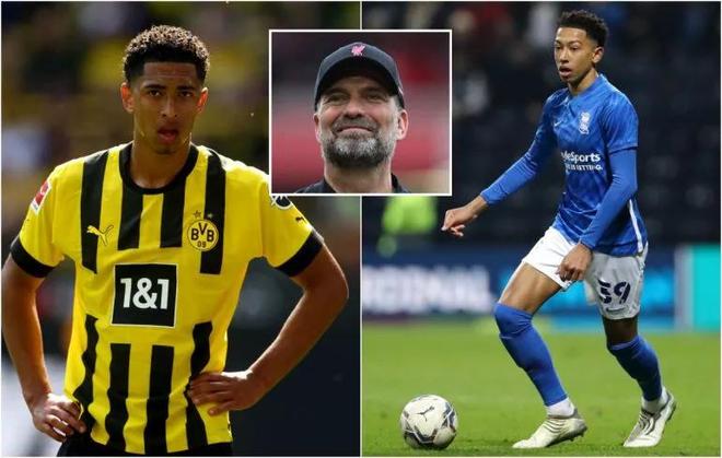 现无可挑剔 现无可挑剔